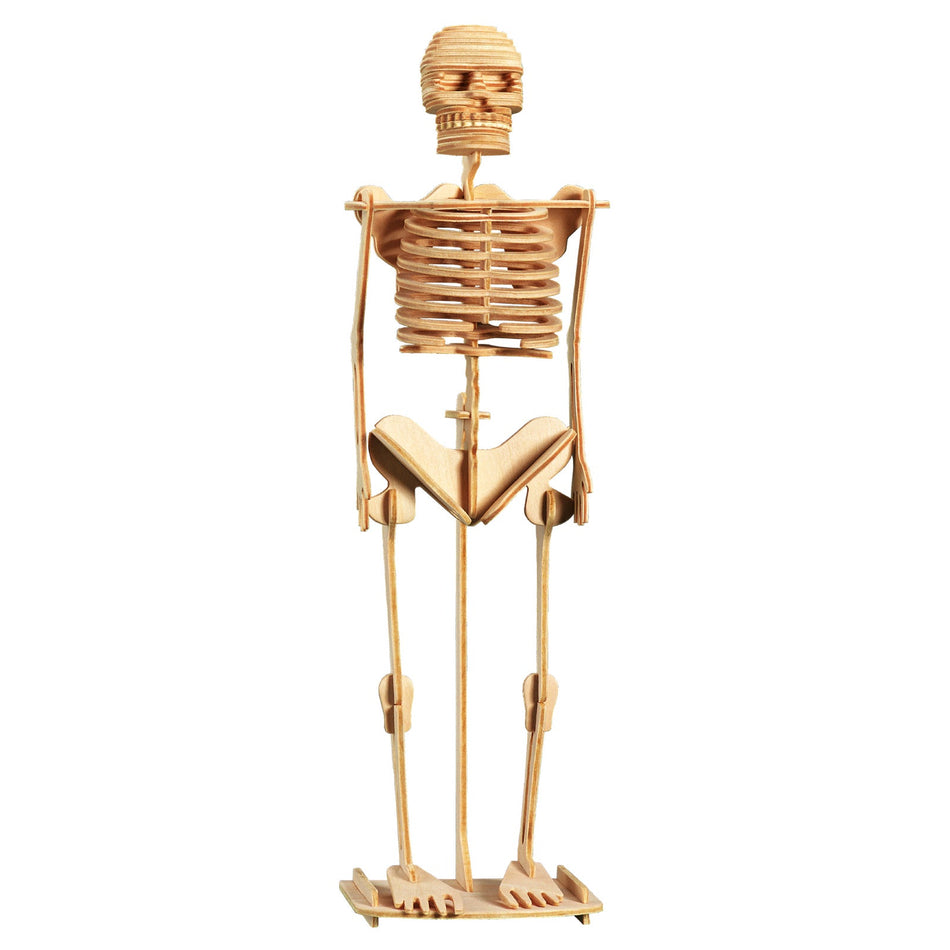 Wootec Menschliches Skelett / Human Skeleton BE601