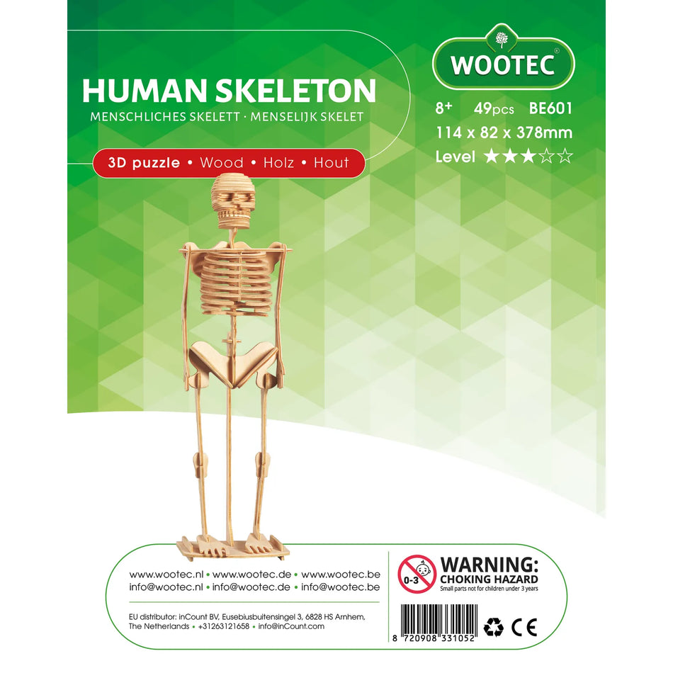 Wootec Menschliches Skelett / Human Skeleton BE601